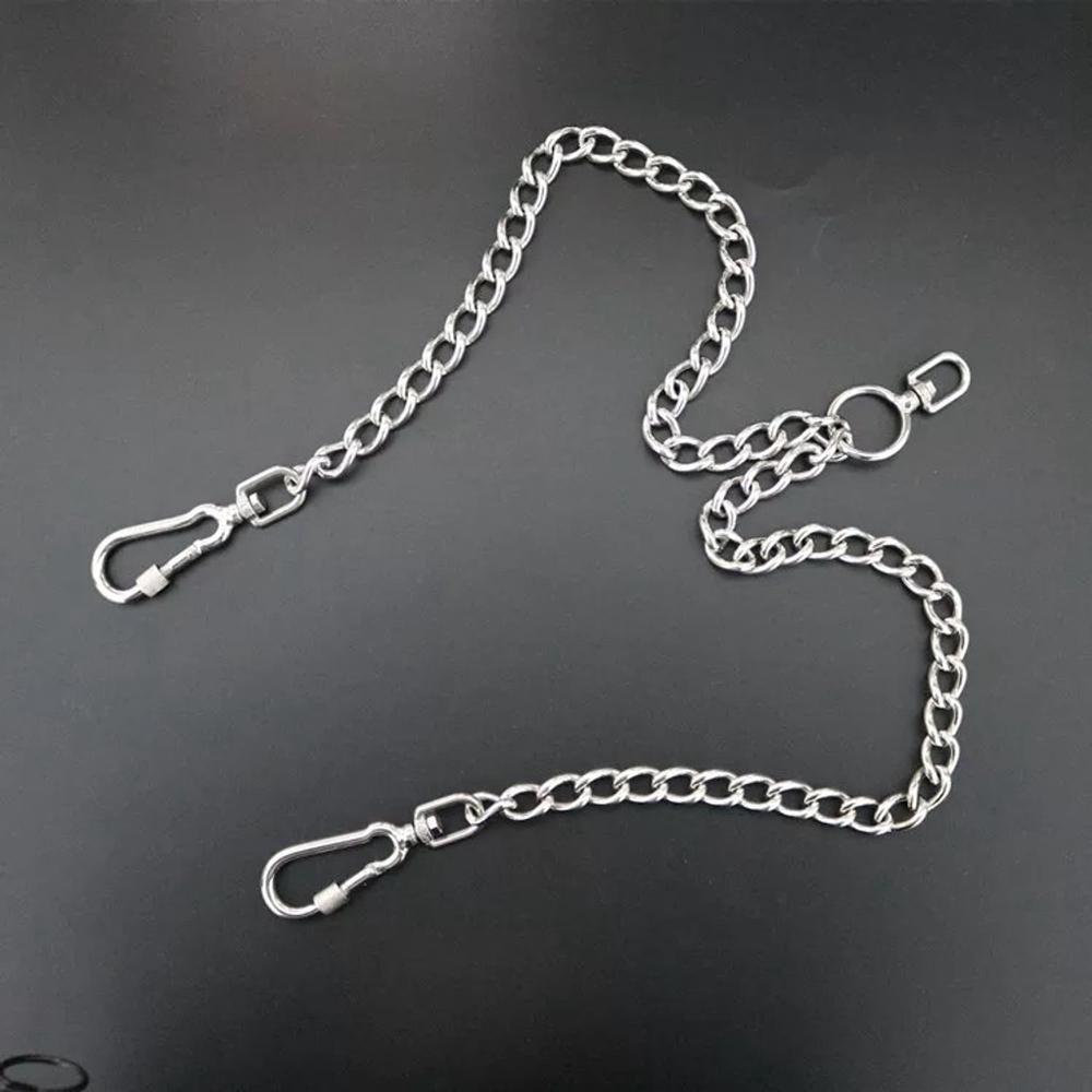 Pet Leash for 2 dogs